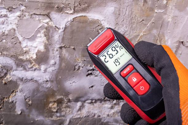 Best Attic Mold Remediation in Lake Holiday, IN